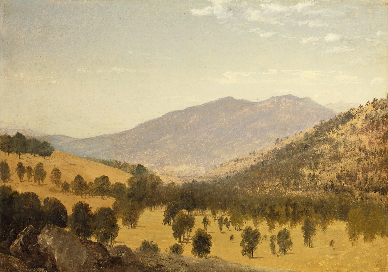 Bergen Park, Colorado, av John Frederick Kensett