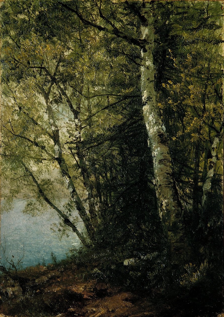 Studie av bøketrær av John Frederick Kensett