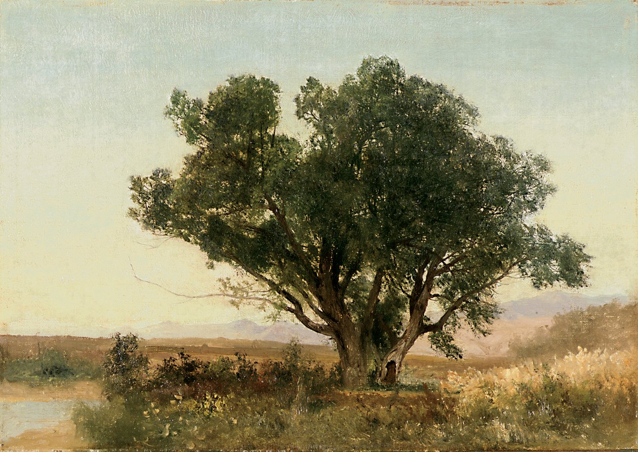 The Front Range, Colorado av John Frederick Kensett