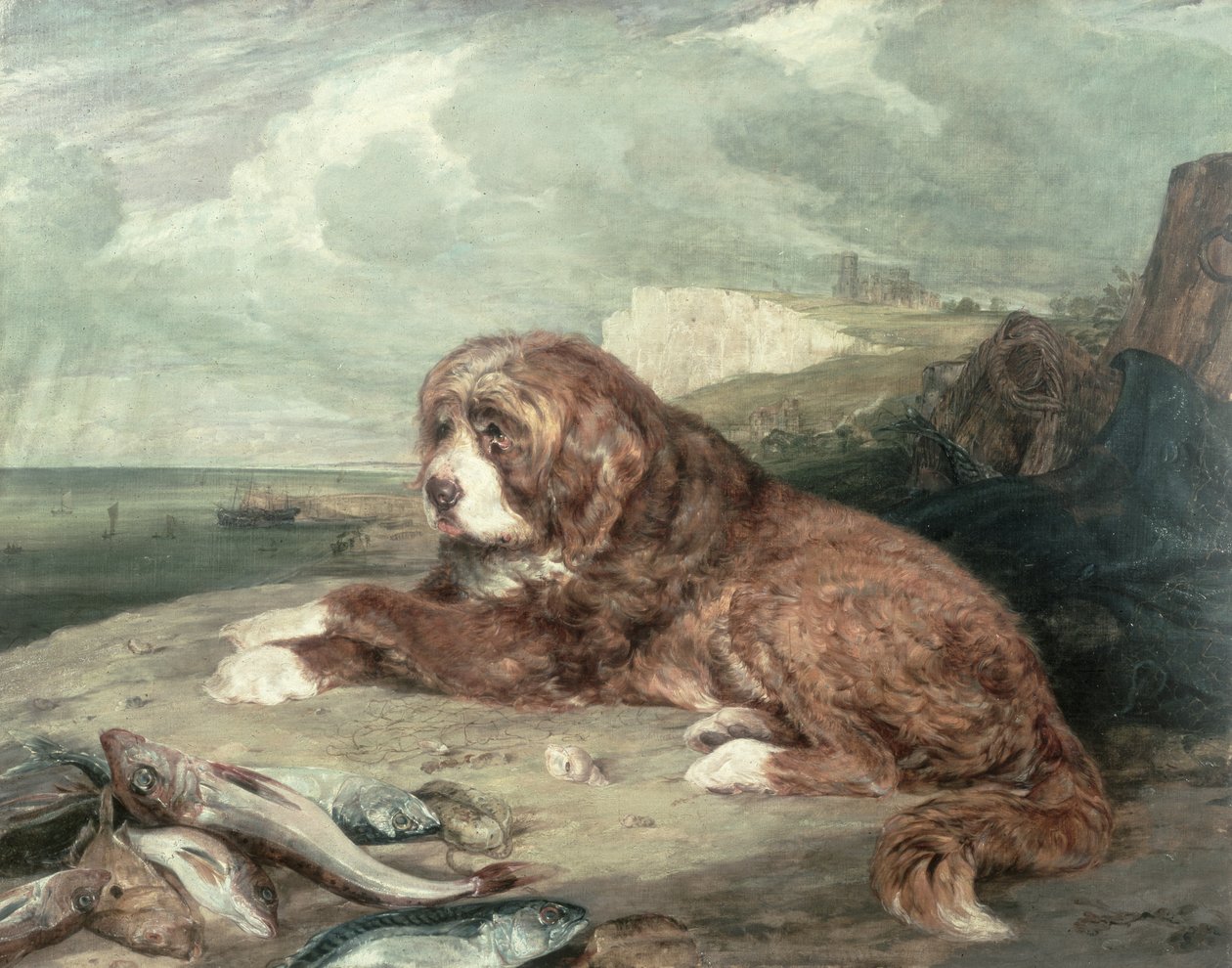 En gammel Newfoundland-hund av John Frederick Lewis