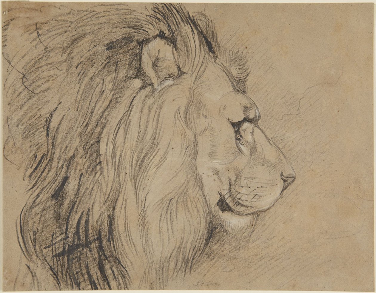 Løve av John Frederick Lewis