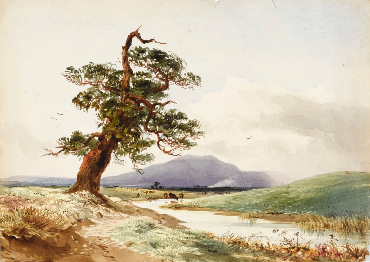  av John Frederick William Herschel