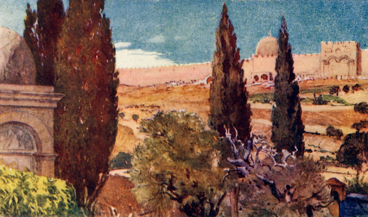 Sypressene i Getsemane-hagen, 1902. av John Fulleylove