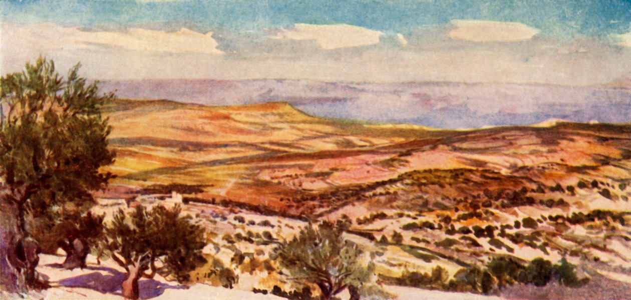 Rut- og Boas-markene nær Betlehem, 1902. av John Fulleylove
