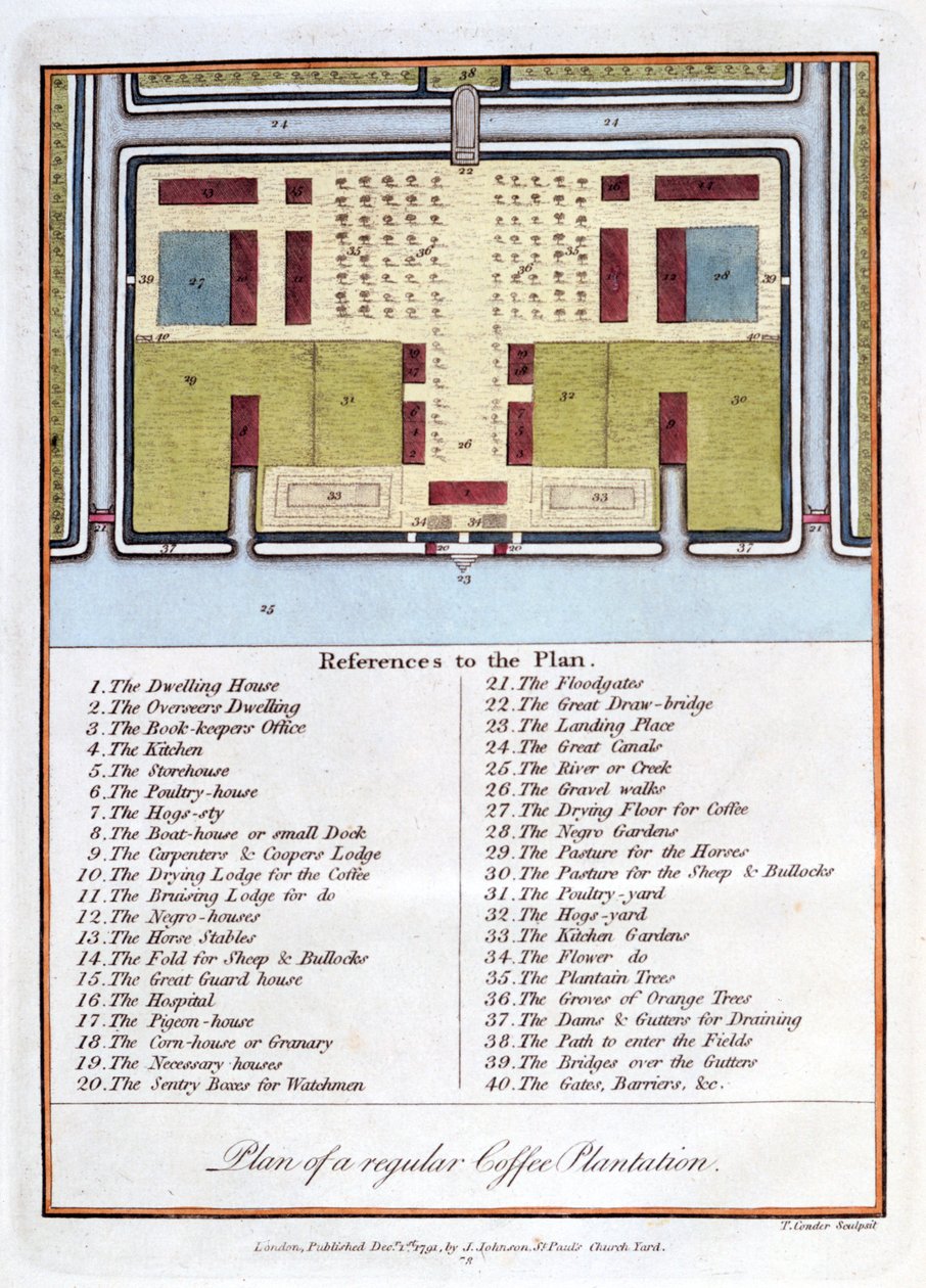 Plan for en vanlig kaffeplantasje, 1813 av John Gabriel Stedman