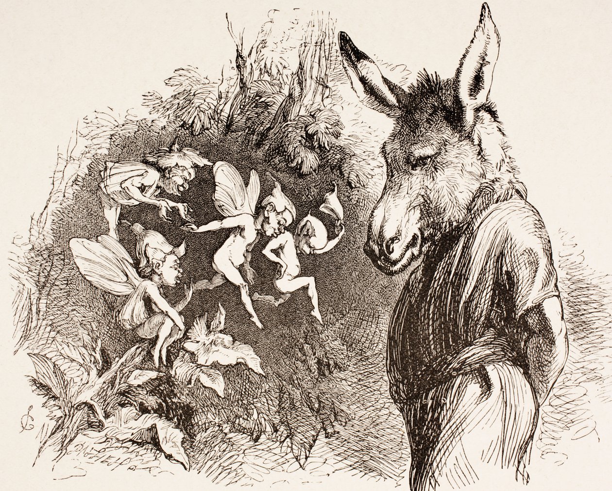 Illustrasjon for A Midsummer Night