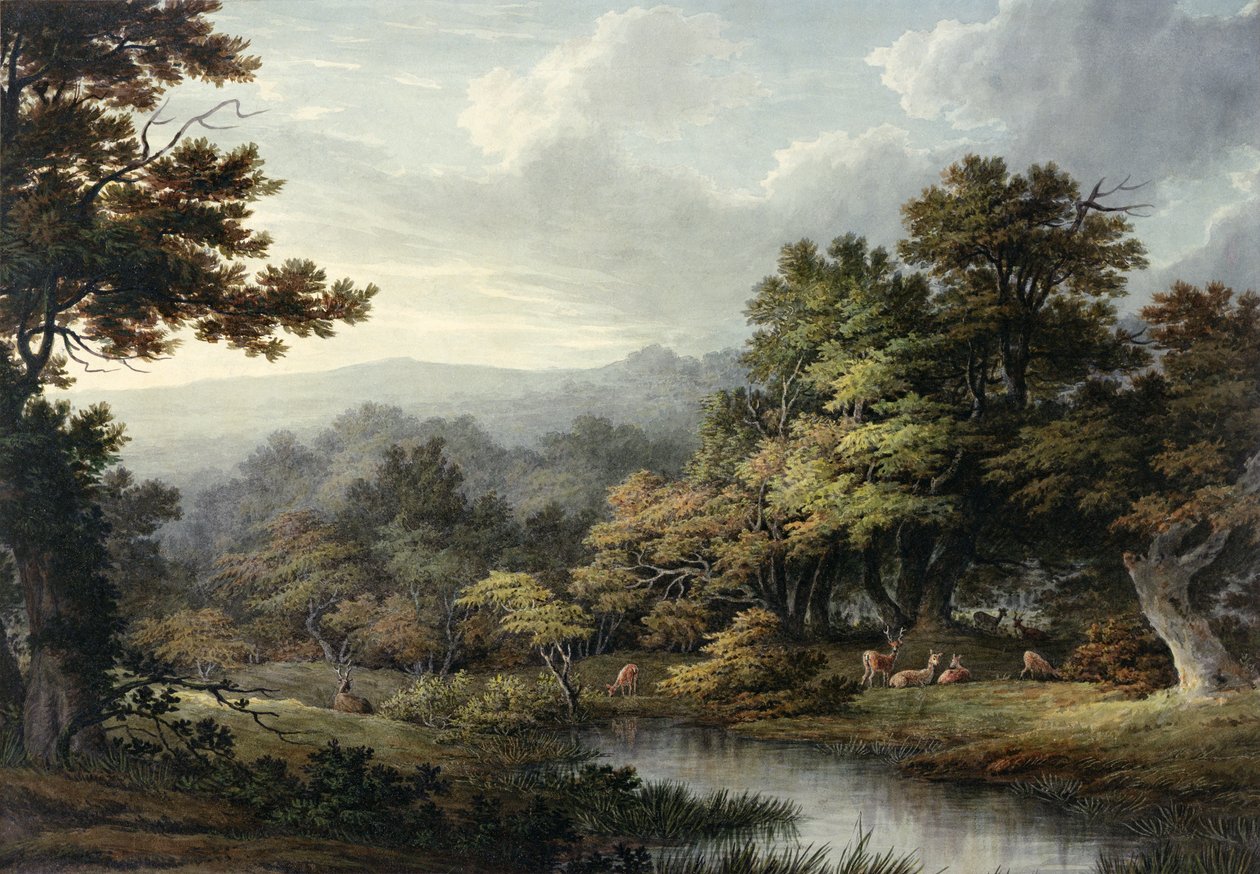 Forest Glade med basseng og hjort (akvarell på papir) av John Glover