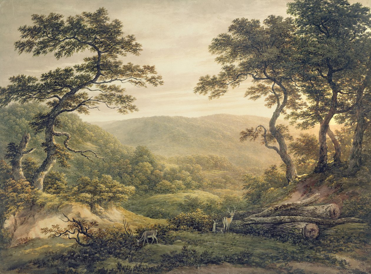 Needlewood Forest, Hampshire (akvarell på papir) av John Glover