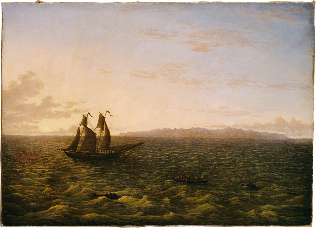  av John Glover