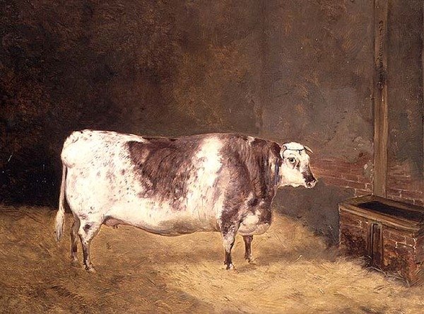 Korthornku av John Goode