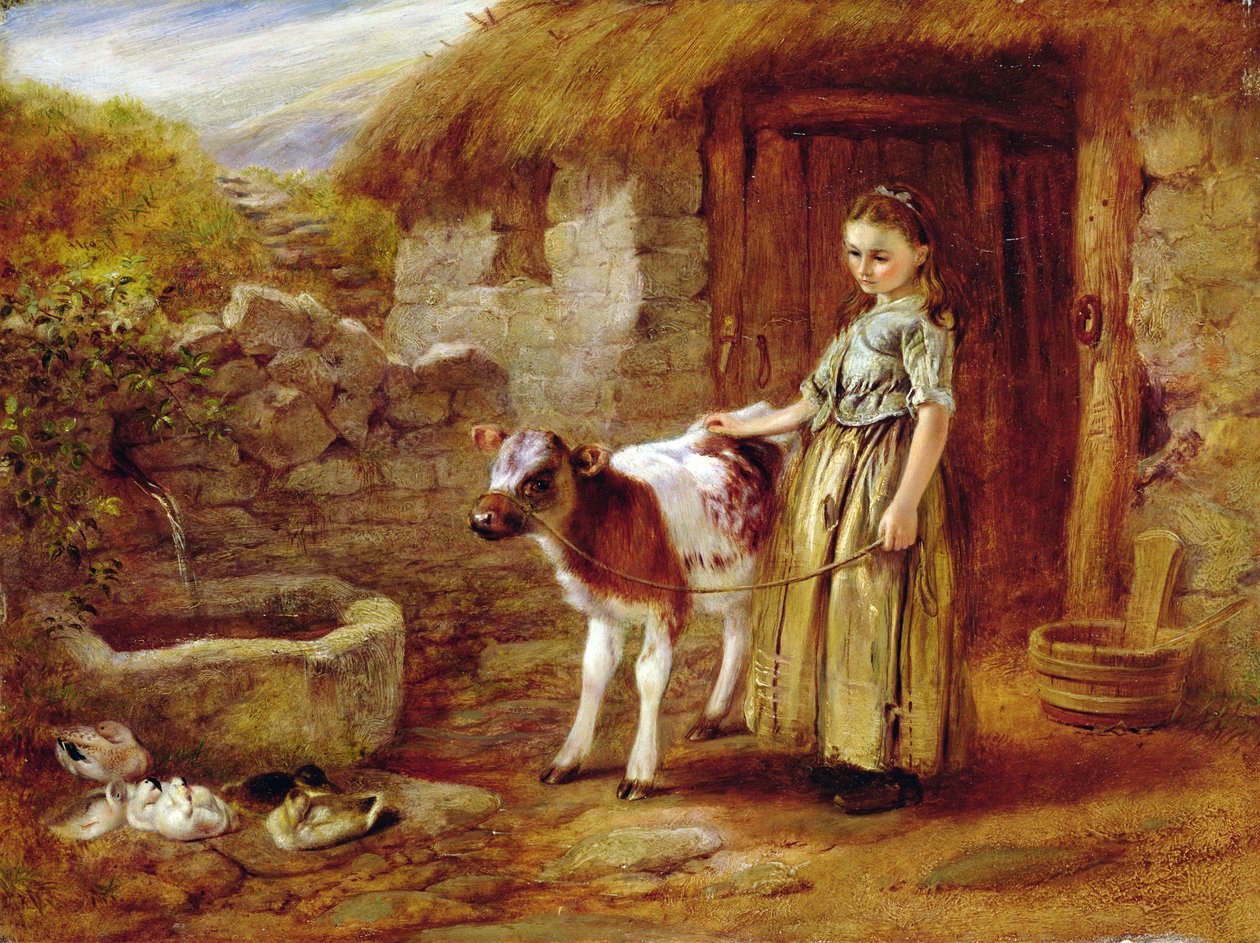 Maggies Charge av John H. Dell