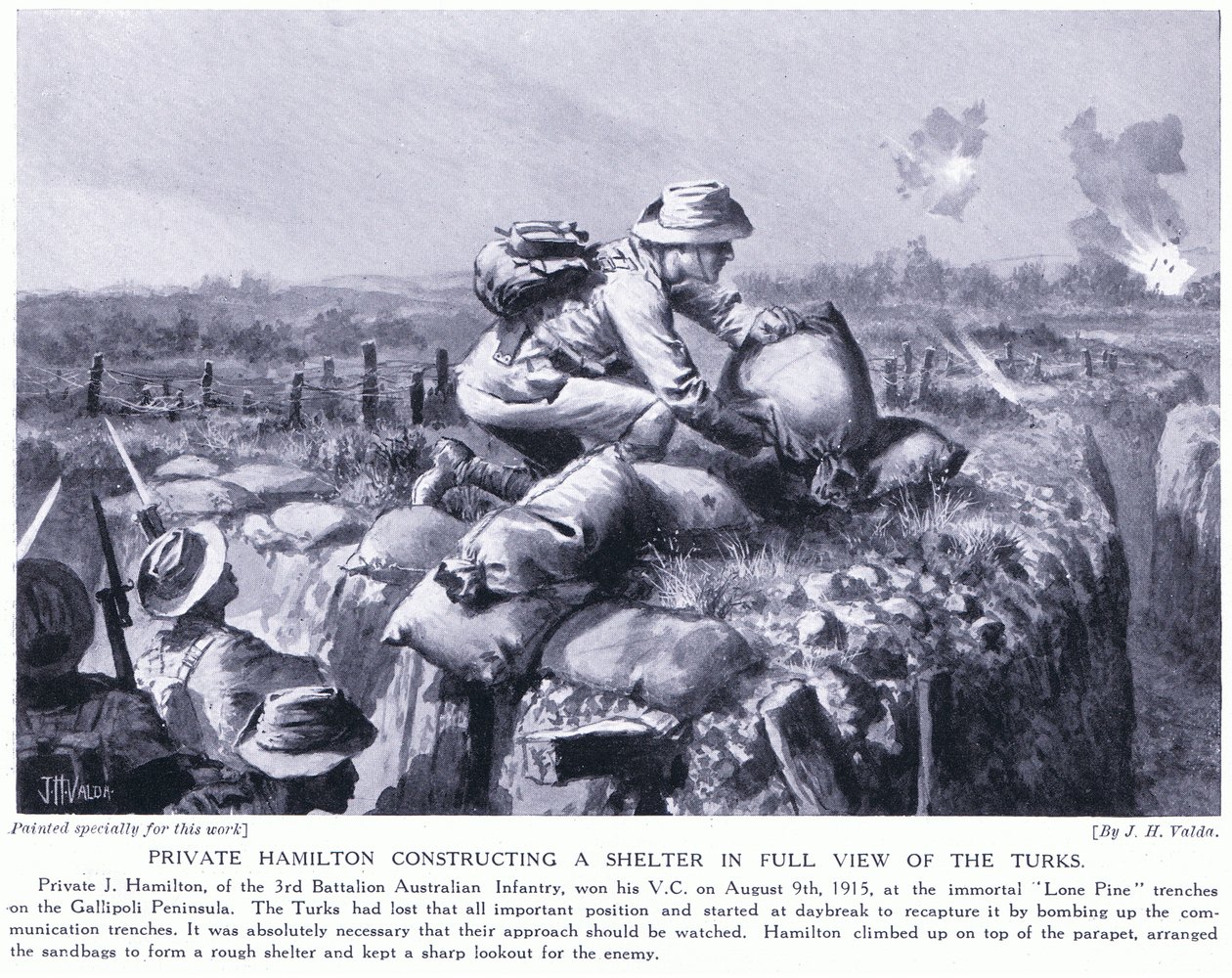 Privat Hamilton konstruerer et tilfluktsrom med full utsikt over tyrkerne ved Lone Pine-skyttergravene på Gallipoli-halvøya august 1915 av John Harris Valda