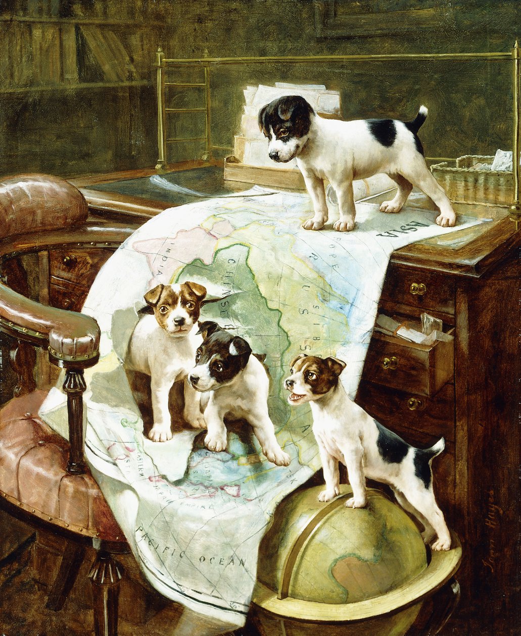 Godt reiste Jack Russell-valper av John Hayes