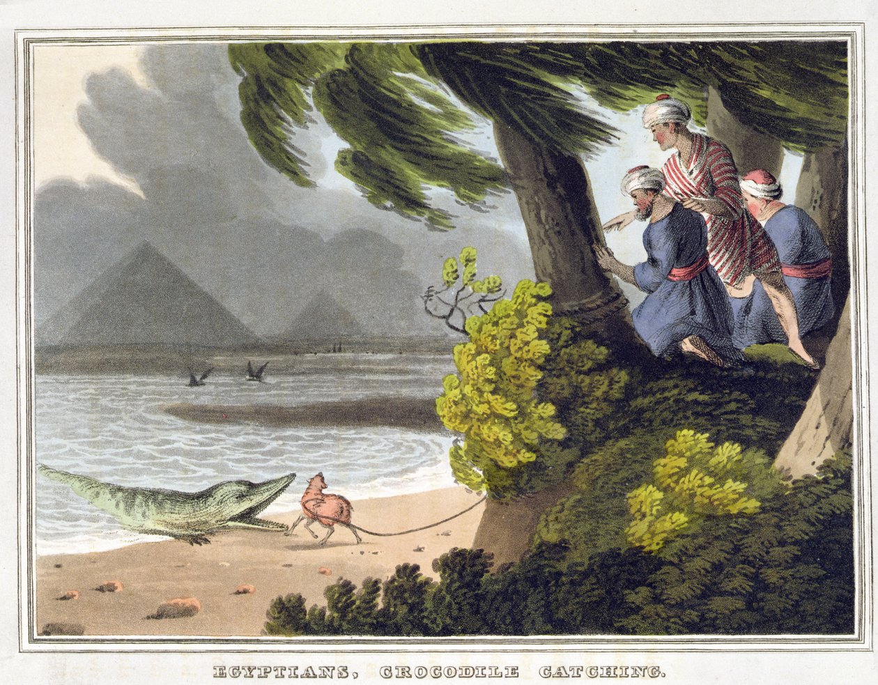 Egyptians Crocodile Catching, gravert av Matthew Dubourg (fl.1785-1820), utgitt av Edward Orme av John Heaviside (after) Clark
