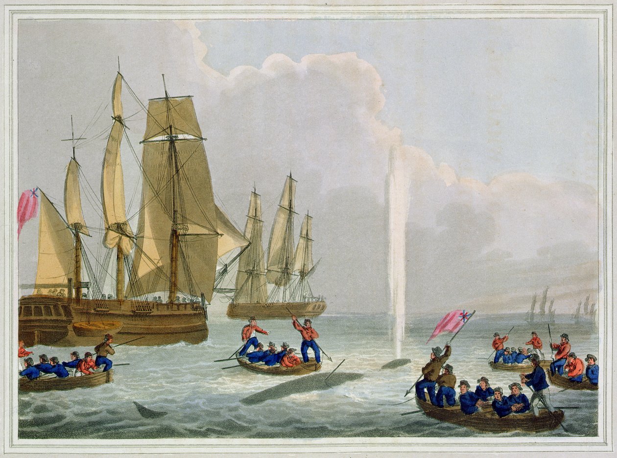 Boats Approaching a Whale, gravert av Matthew Dubourg (fl.1785-1820), utgitt av Edward Orme, 1813 av John Heaviside Clark