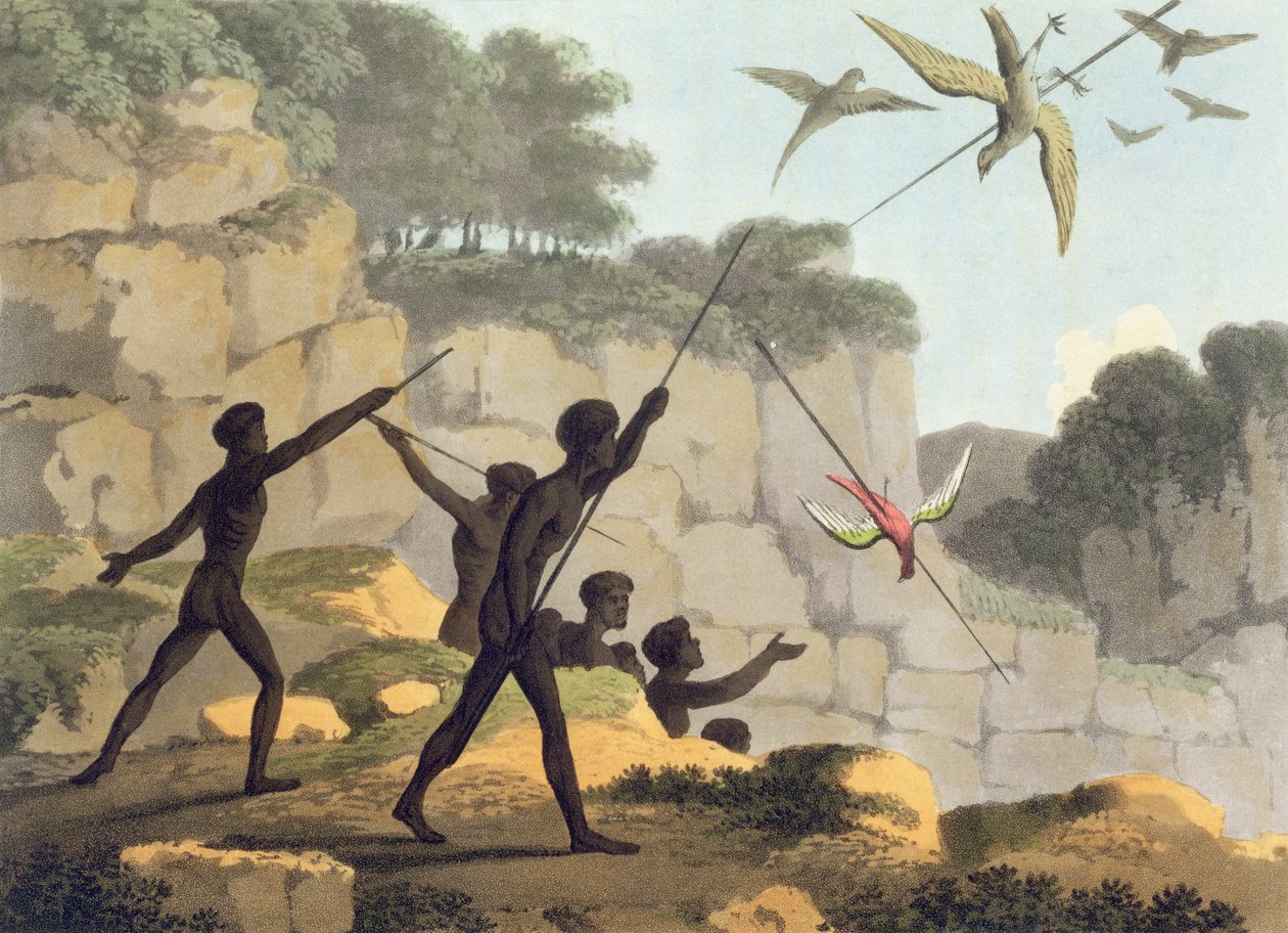 Throwing the Spear, aboriginer som jakter på fugler fra New South Wales, gravert av puben Matthew Dubourg (f.1813-1820). 1813 av John Heaviside Clark