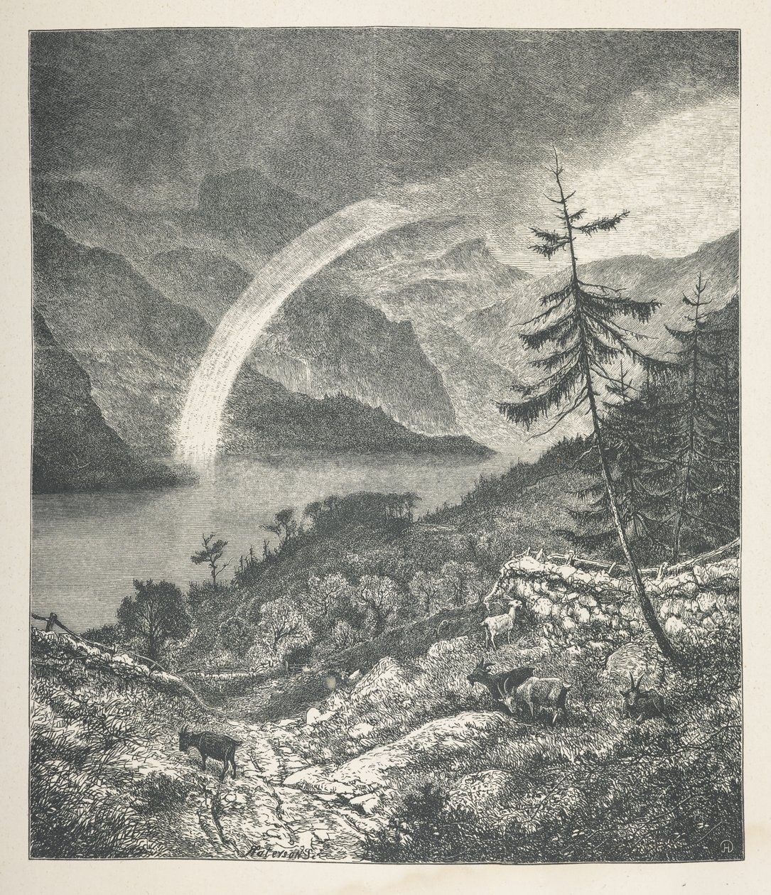 Plate 18. Rainbow, fra 
