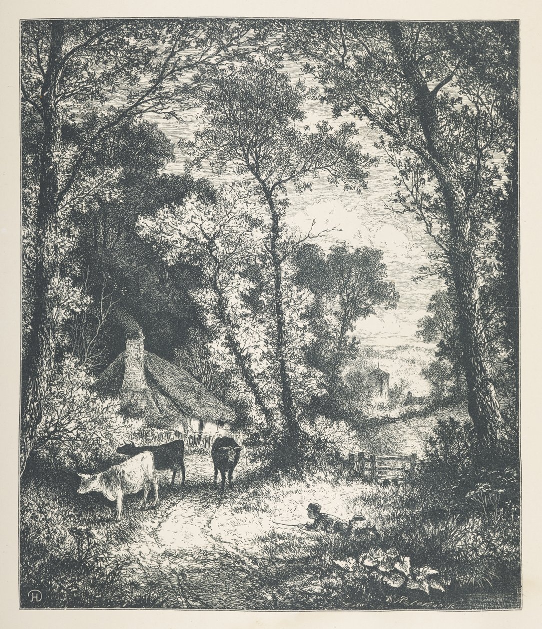 Plate 21. Cattle, fra 