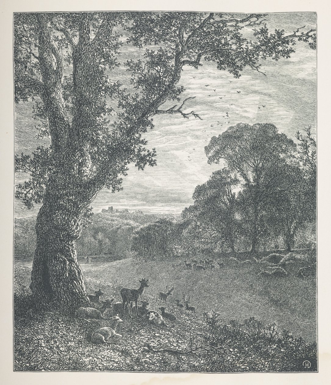 Plate 3. Hjort rundt et tre. Naturbilder. En serie på tretti originale illustrasjoner tegnet på tre av JH Dell, og gravert av R. Paterson. John Henry Dell av John Henry Dell