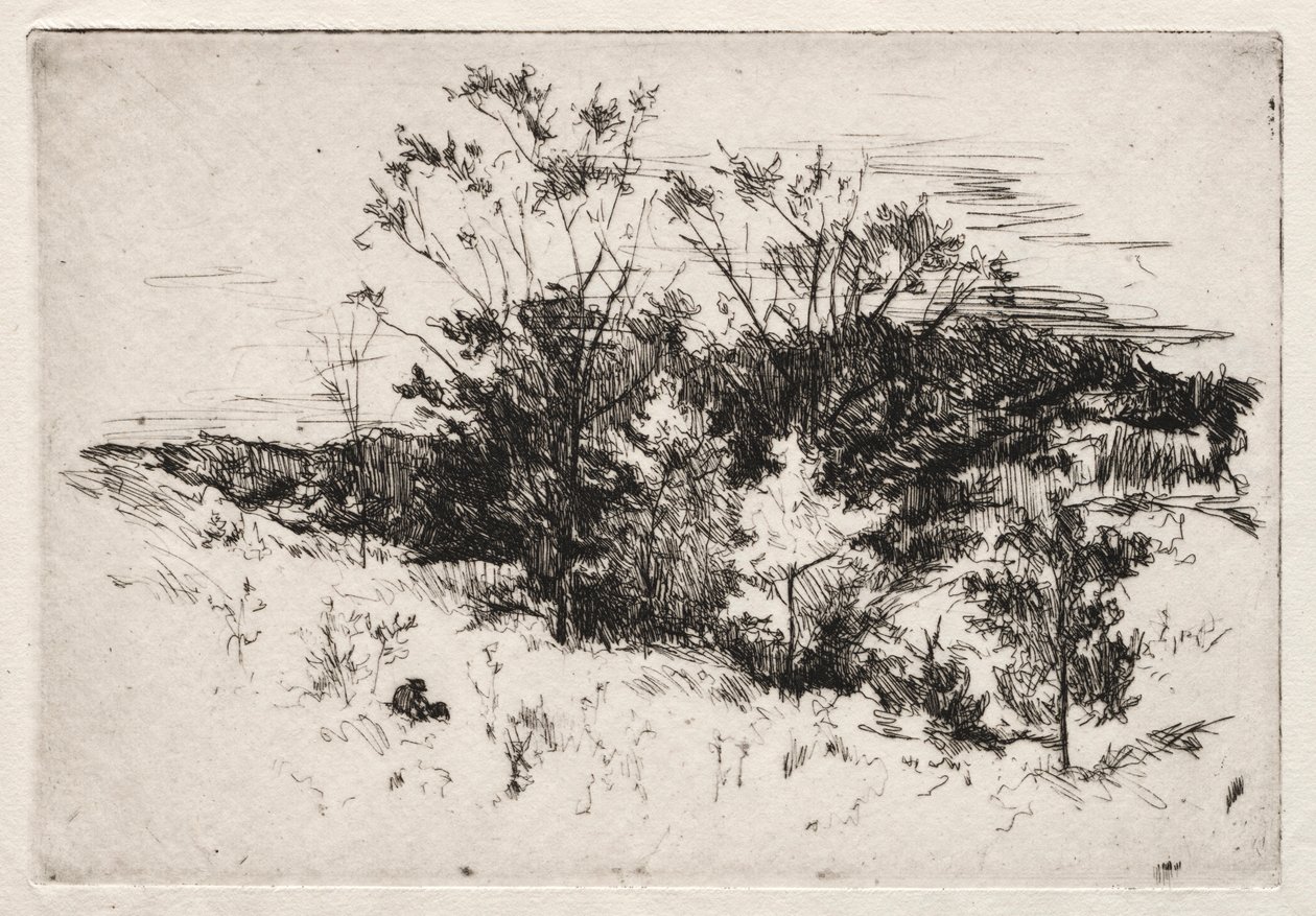 Høstlandskap, 1879-80. av John Henry Twachtman
