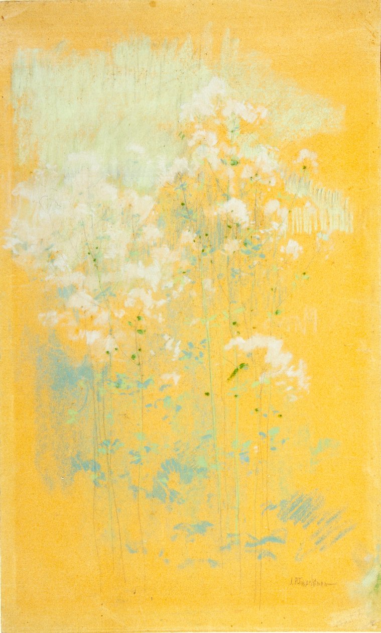  av John Henry Twachtman