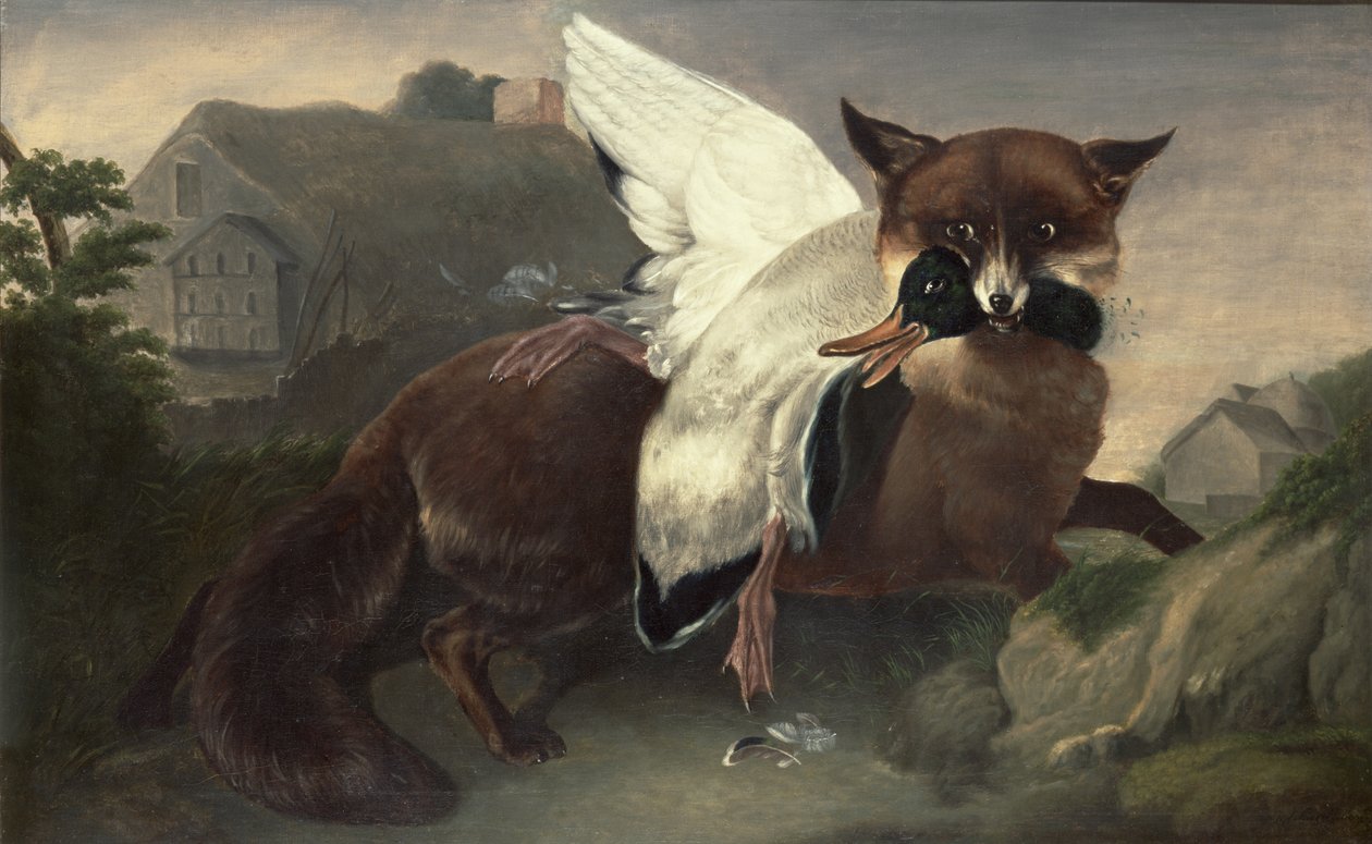  av John James Audubon