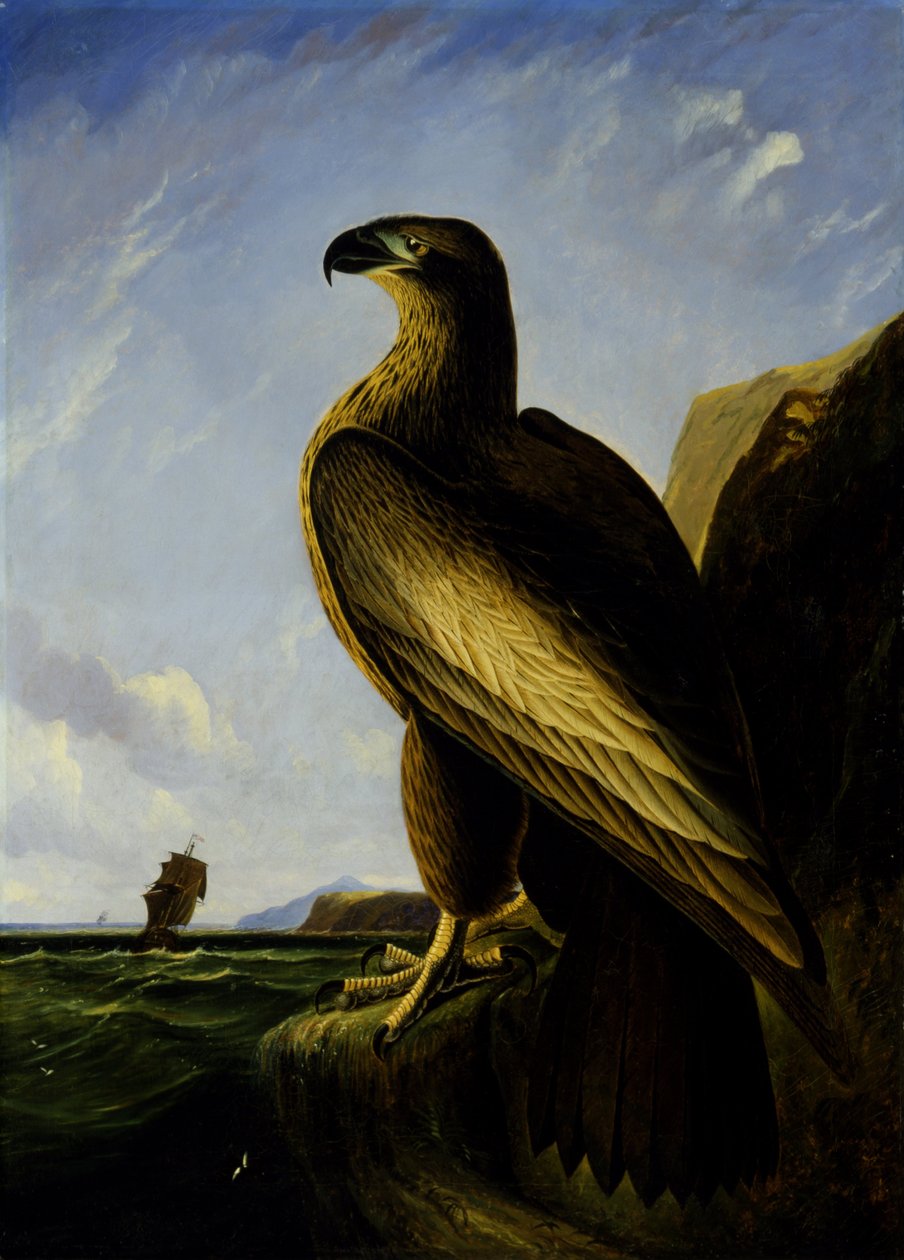  av John James Audubon