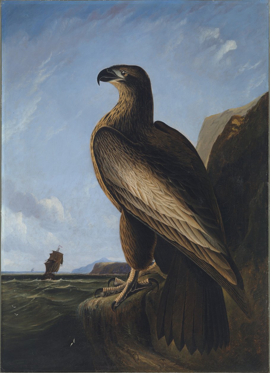  av John James Audubon