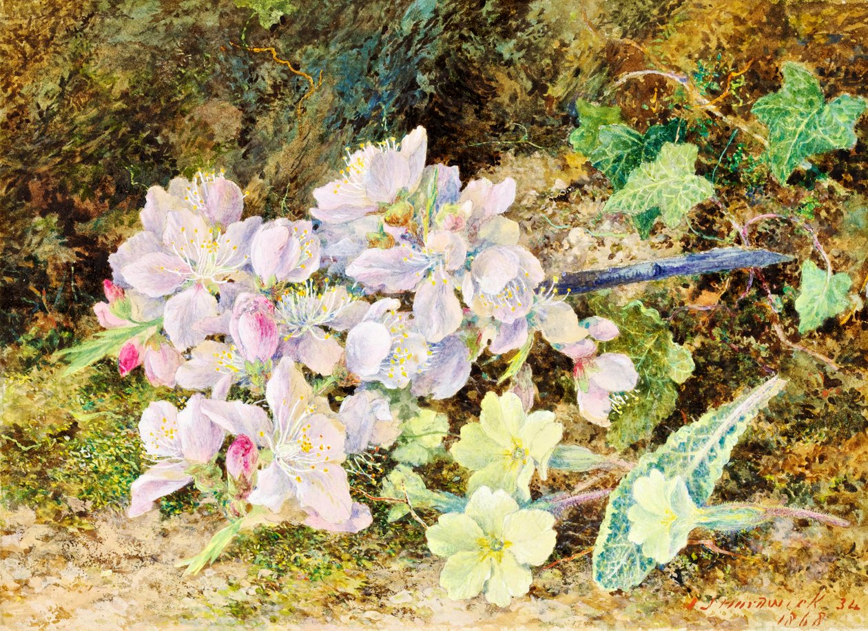 Almond Blossoms and Primroses, 1868 (wc på kort) av John Jesson Hardwick
