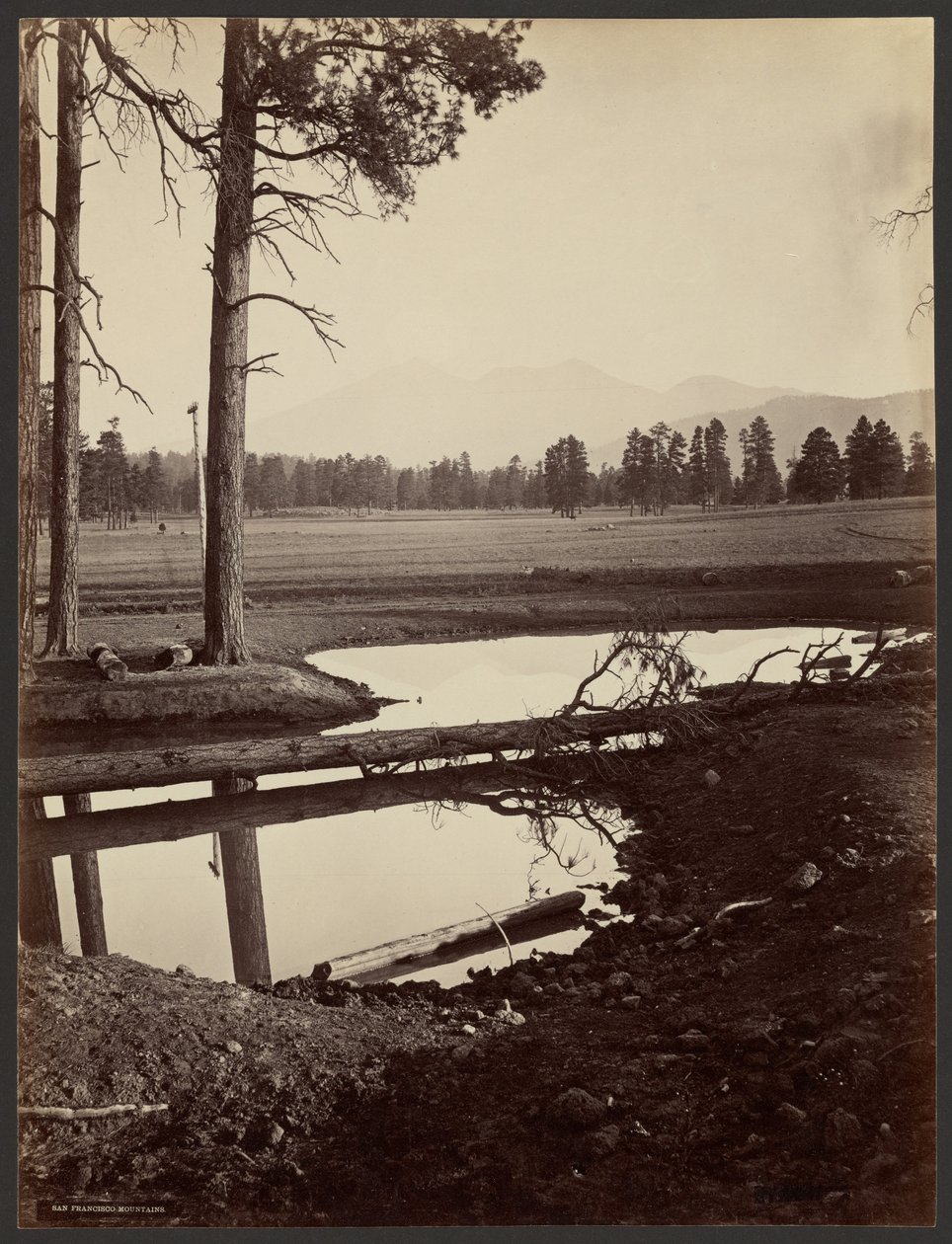 San Francisco-fjellene, Arizona av John K. Hillers