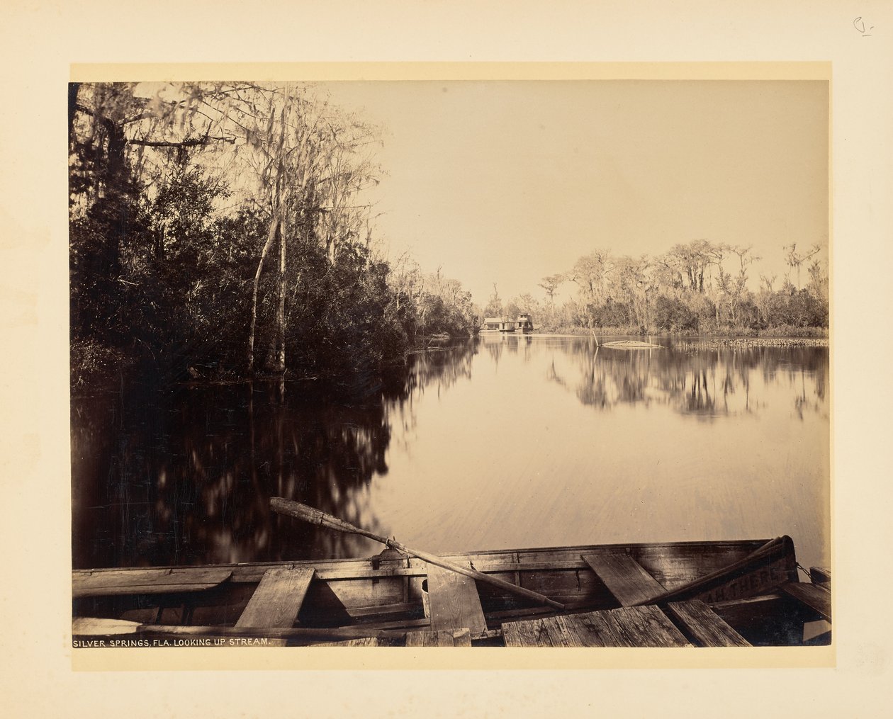 Silver Springs, Florida, sett oppstrøms av John K. Hillers
