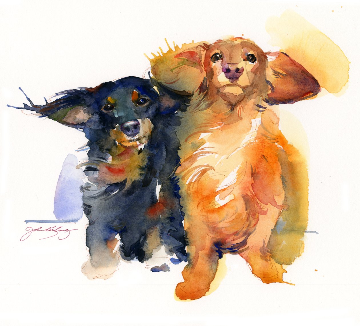 Dachshund Duo, 2014, (akvarell) av John Keeling