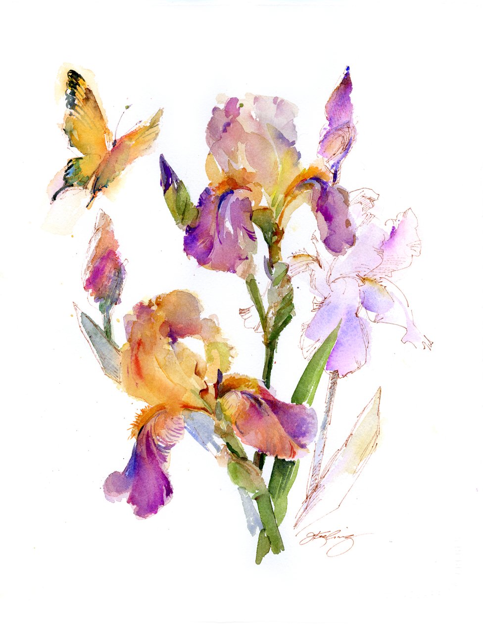 Iris med gul sommerfugl, 2016, (akvarell) av John Keeling