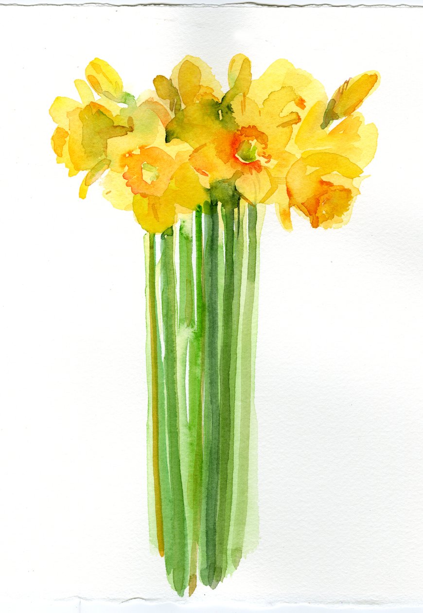 Narcissus gjeng; 2014; (akvarell) av John Keeling