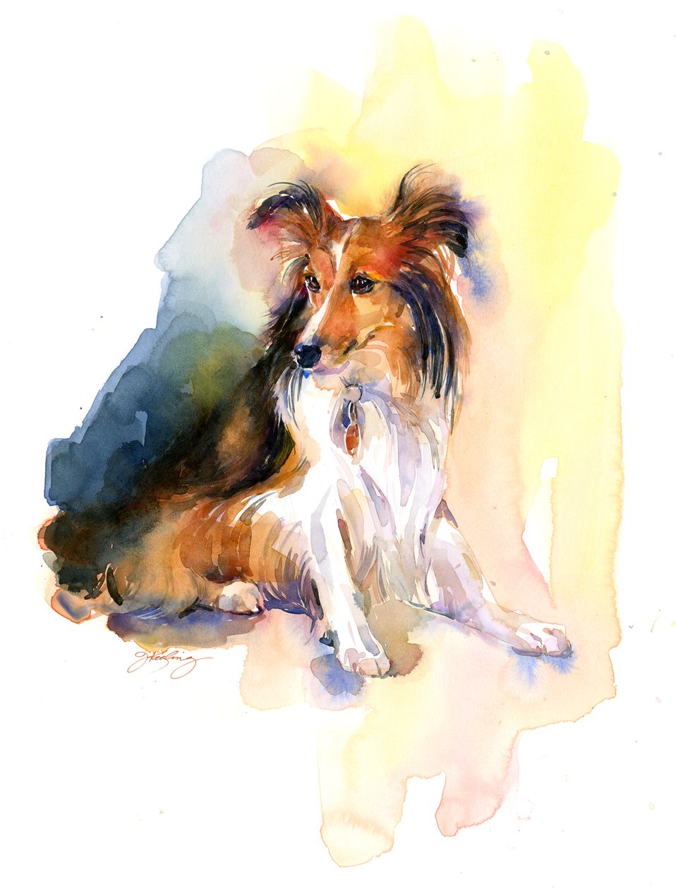 Sheltie-portrett, 2015, (akvarell) av John Keeling