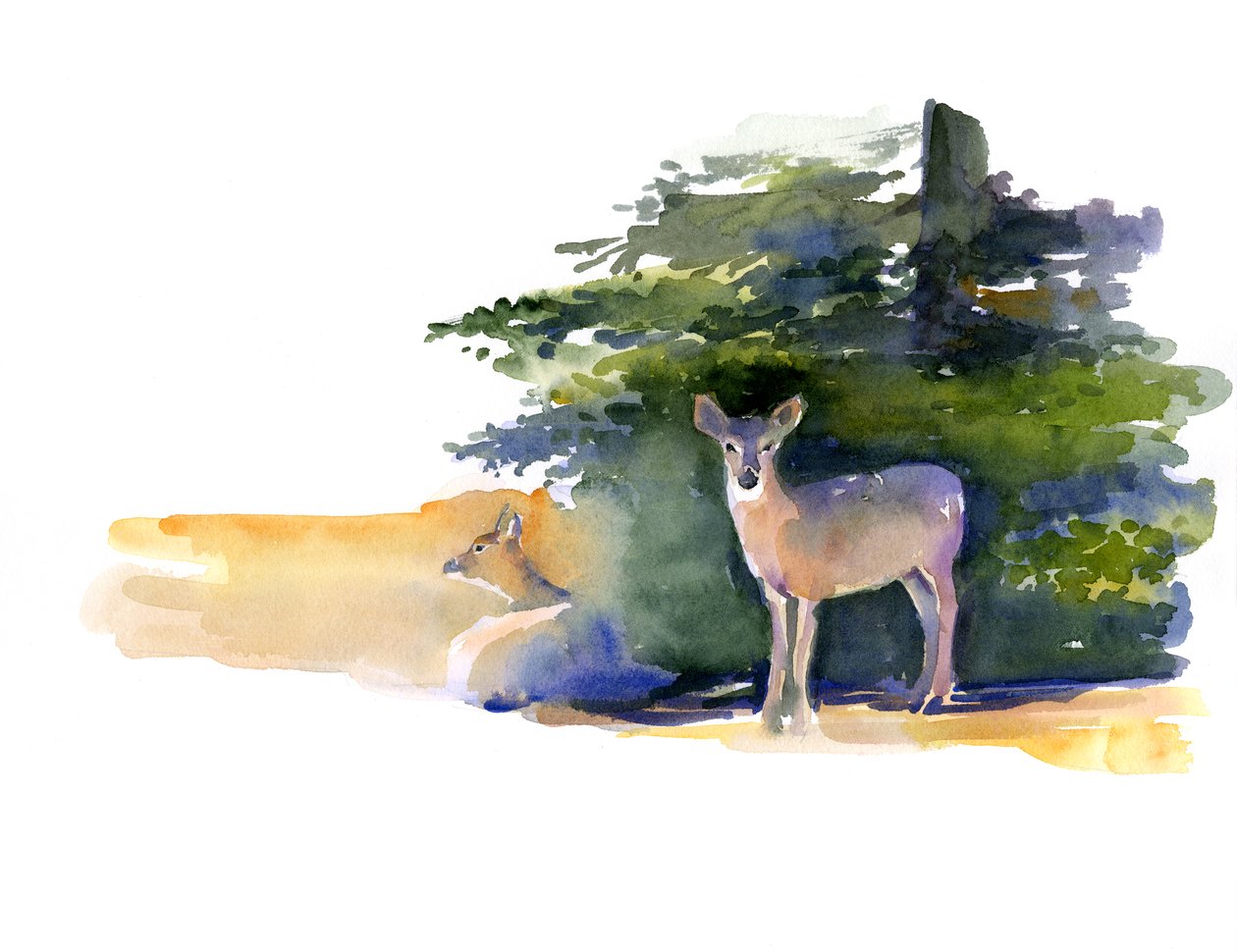 Two Deer, 2014, (akvarell) av John Keeling