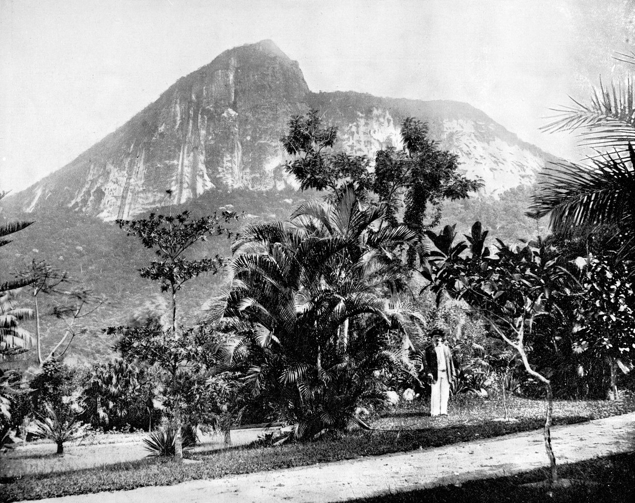 Botanisk hage og Mount Corcovado, Rio De Janeiro, Brasil, 1893. av John L. Stoddard