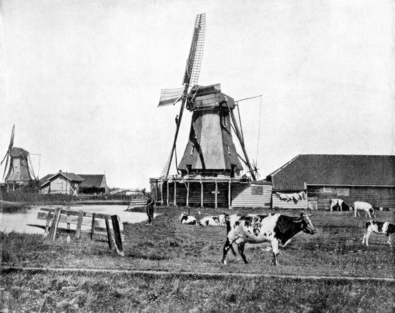Hollandske vindmøller, Holland, slutten av 1800-tallet av John L. Stoddard