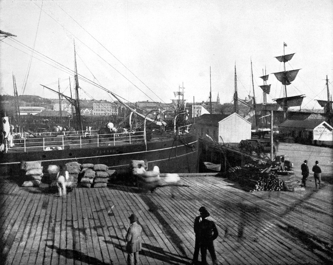 Havn i Auckland, New Zealand, 1893. av John L. Stoddard