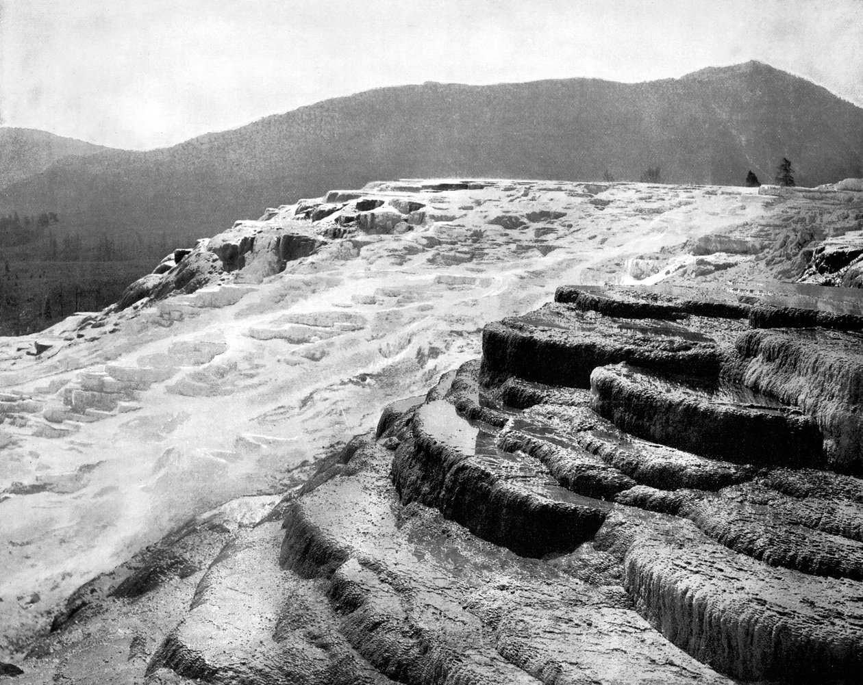 Mammoth Hot Springs, Yellowstone nasjonalpark, USA, 1893. av John L. Stoddard