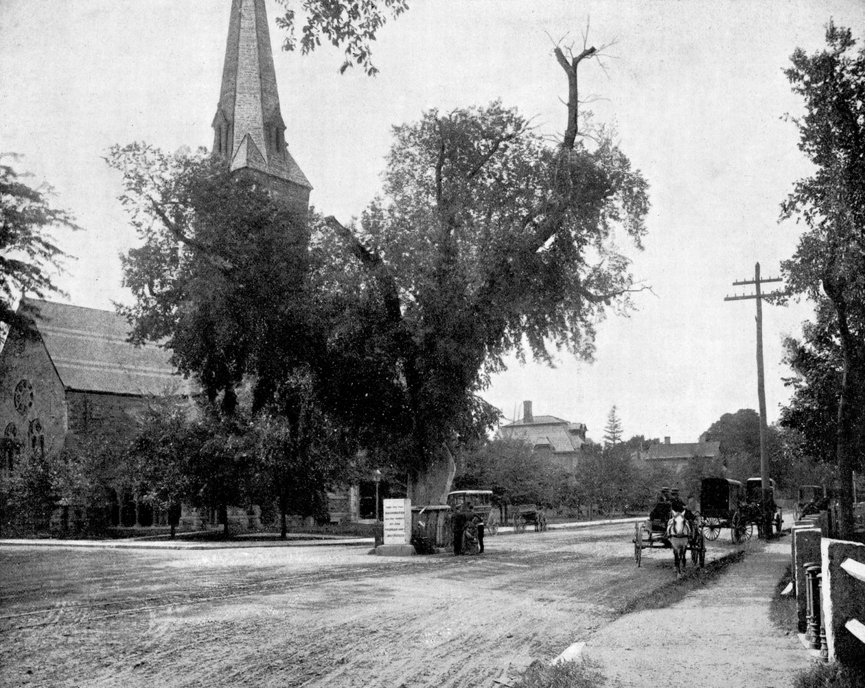 Washington Elm and Memorial Stone, Cambridge, Massachusetts, USA, 1893. av John L. Stoddard