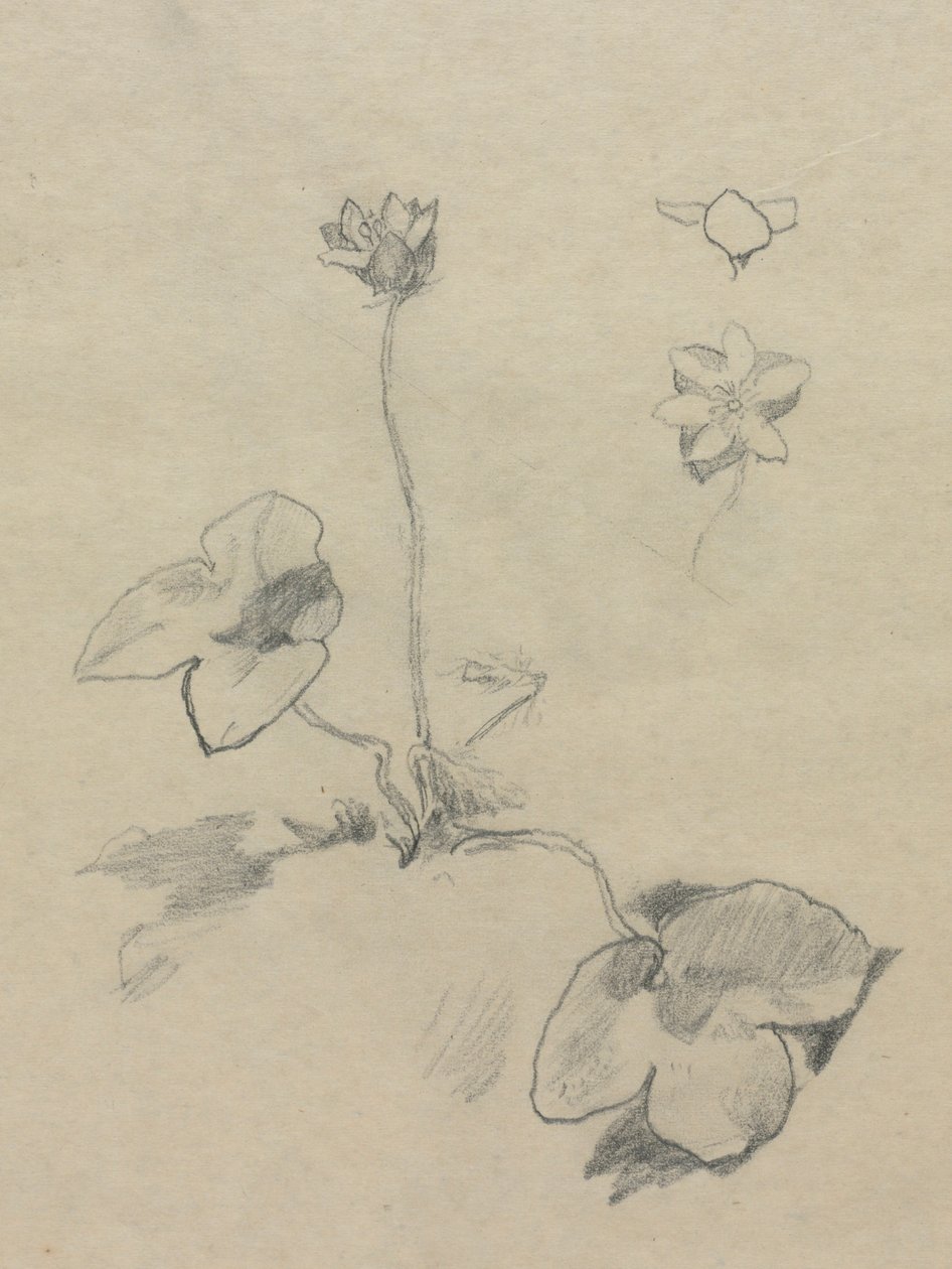  av John La Farge