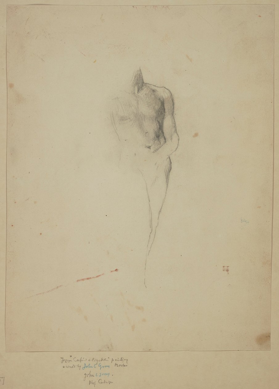 Amor; Studer etter av John La Farge
