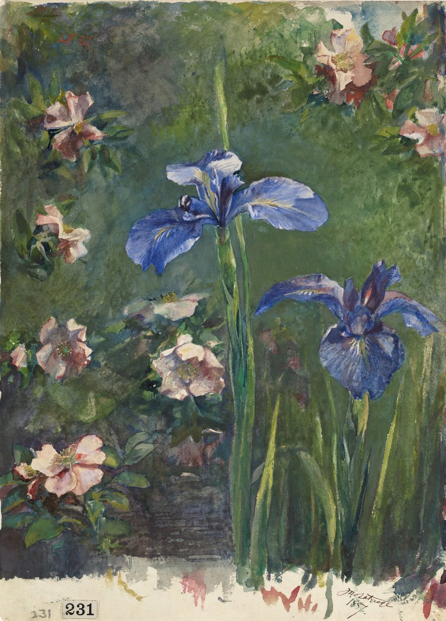 Ville roser og iriser, 1887. av John La Farge