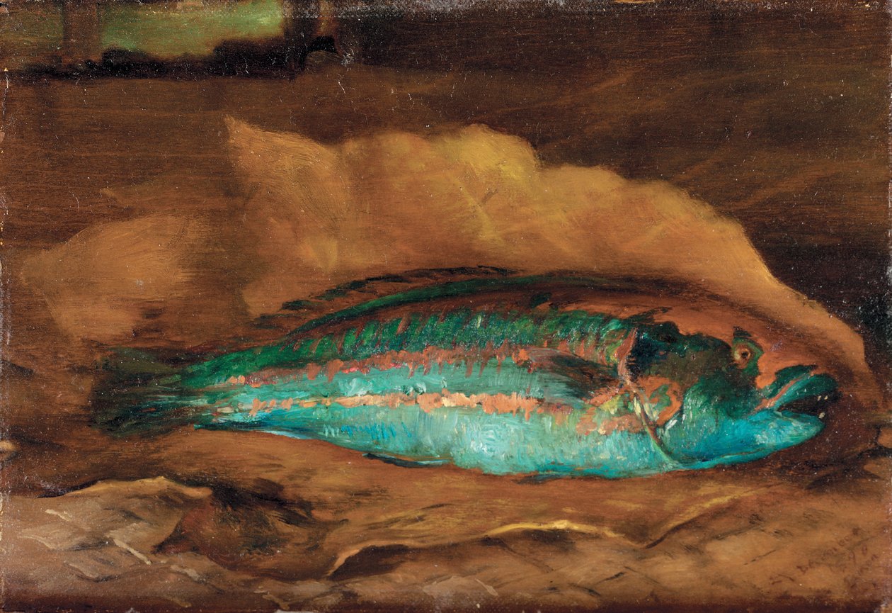 Studie av papegøyefisken, Samoa, 1890 av John La Farge or Lafarge