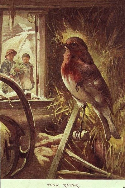 Stakkars Robin, illustrasjon fra 