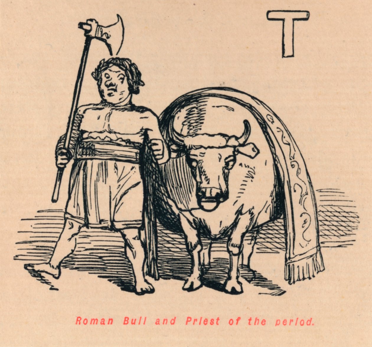 Romersk okse og prest i perioden, 1852 av John Leech