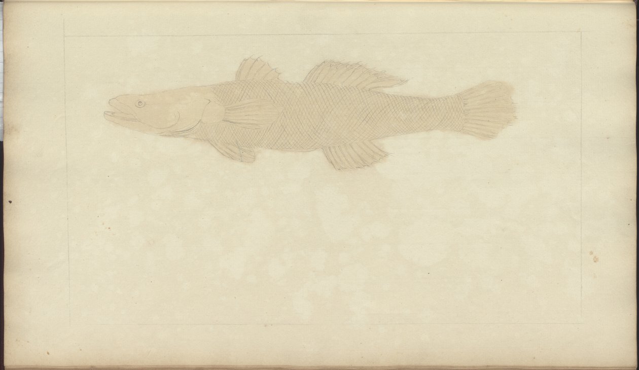 Lindsay Drawings Vol. VII, 22 av John Lindsay