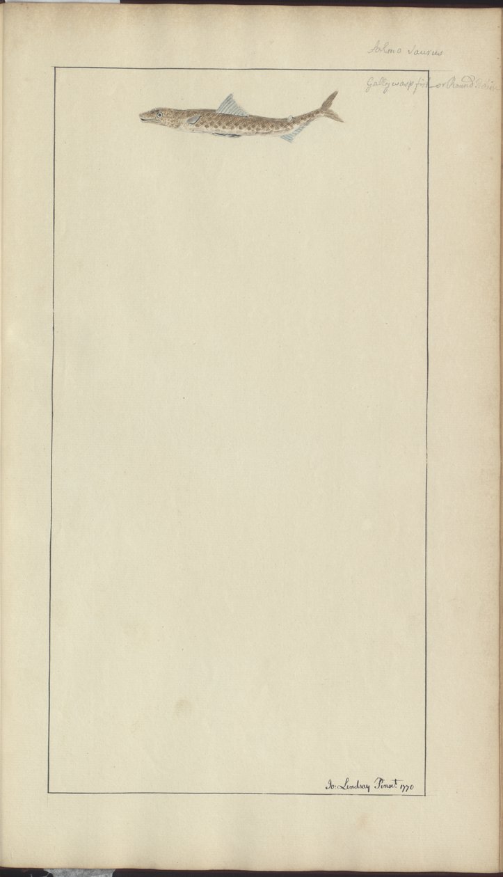 Lindsay Drawings Vol. VII, 23 av John Lindsay