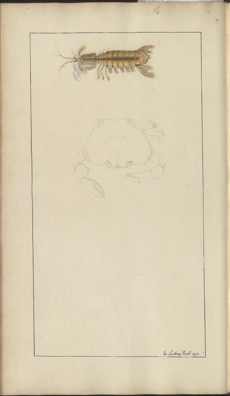 Lindsay Drawings Vol. VII, 24 av John Lindsay